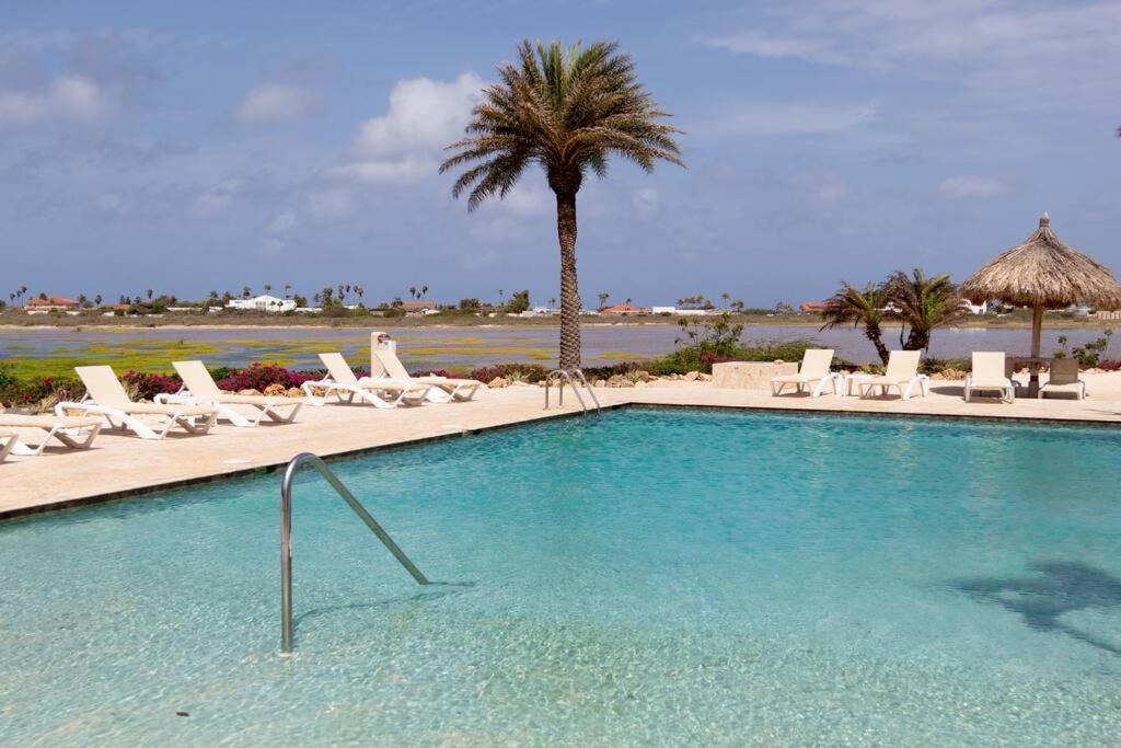 New! Cozy 1 Bedroom Condo- Gold Coast, Noord Aruba 棕榈滩 外观 照片